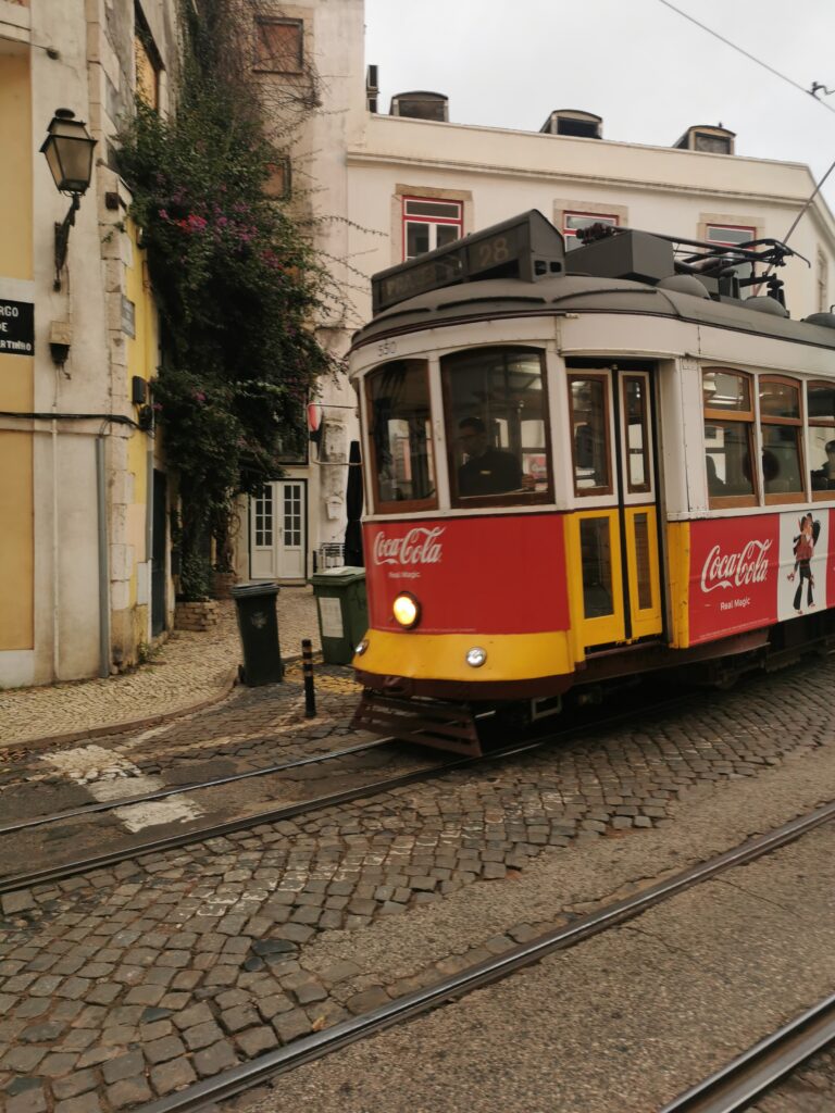 img 20221130 080148